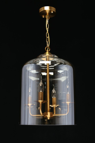 Подвесная люстра Aployt Polin APL.603.06.06