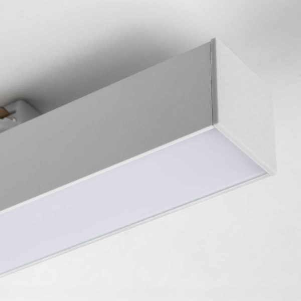 Линейный светильник Lightstar Lilla 202036