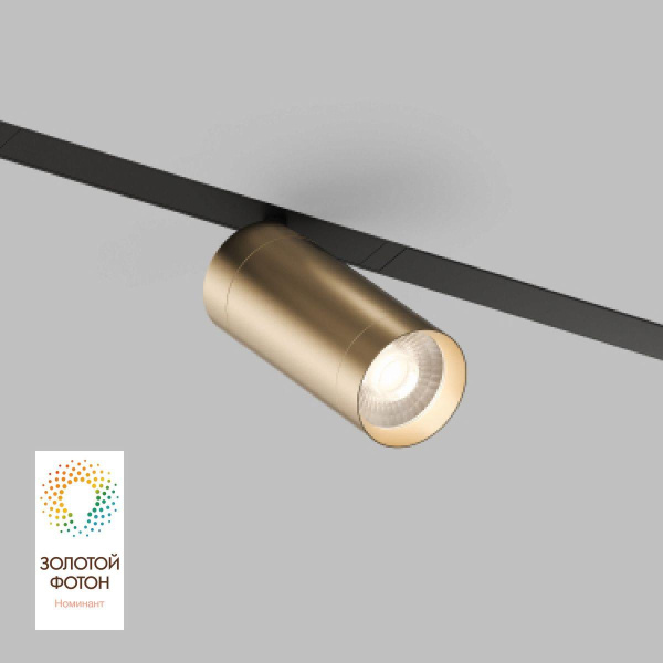 Трековый светодиодный светильник Denkirs Smart Spot DK8020-BG