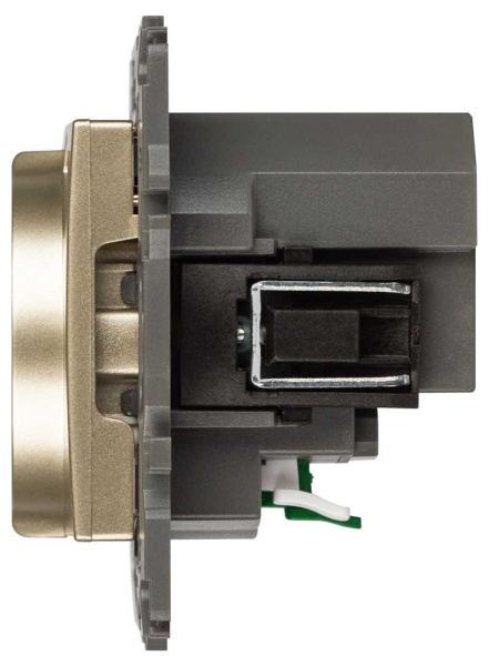 Розетка ЭРА Elegance 14-4108-04 2P+E 16A-250В со шторками с USB type-A+C 5В-3А шампань Б0067740