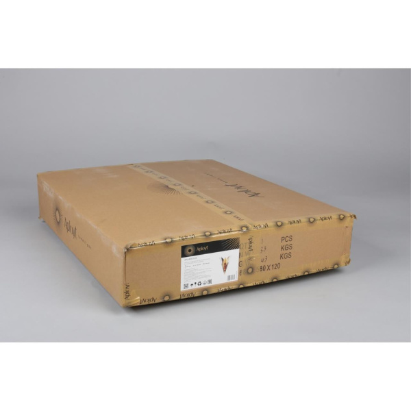 Бра Aployt Teresa APL.855.01.03