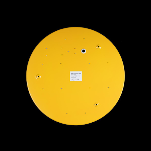 10002/24 Yellow Светильник потолочный LOFTIT Axel, шт