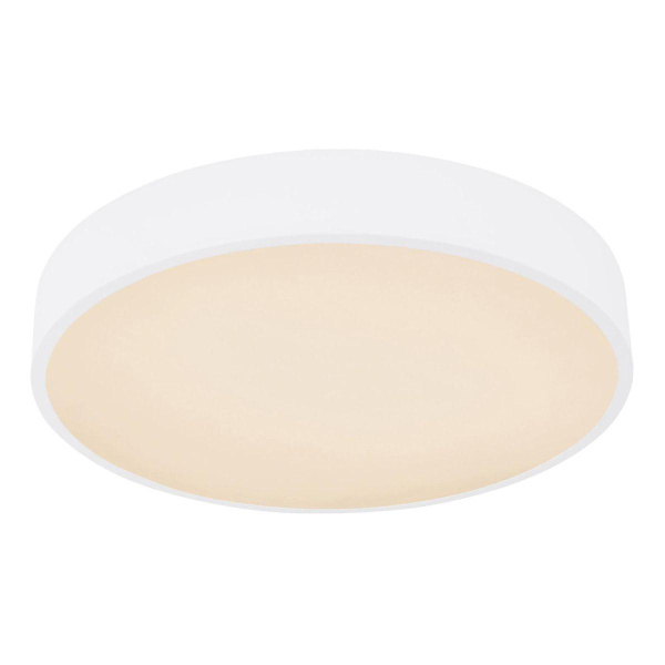 Потолочный светодиодный светильник Globo Leanara 41756-24W