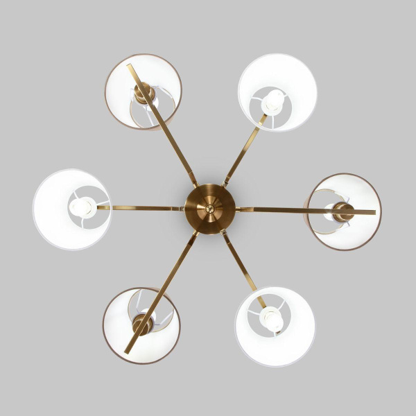 Потолочная люстра Eurosvet Ozark 60149/6 латунь Smart