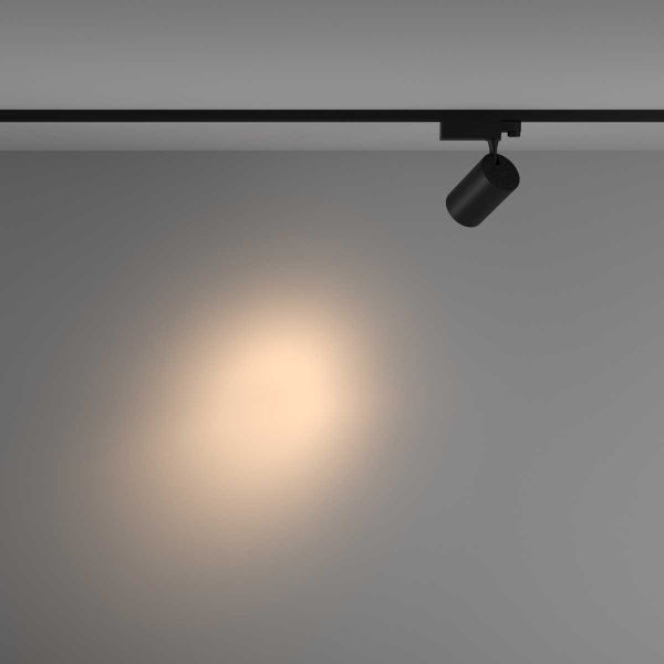 Трековый светильник Maytoni Technical TR029-3-26W3K-S-B