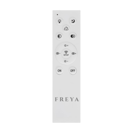 Потолочный светодиодный светильник Freya Lisoa FR10031CL-L98B