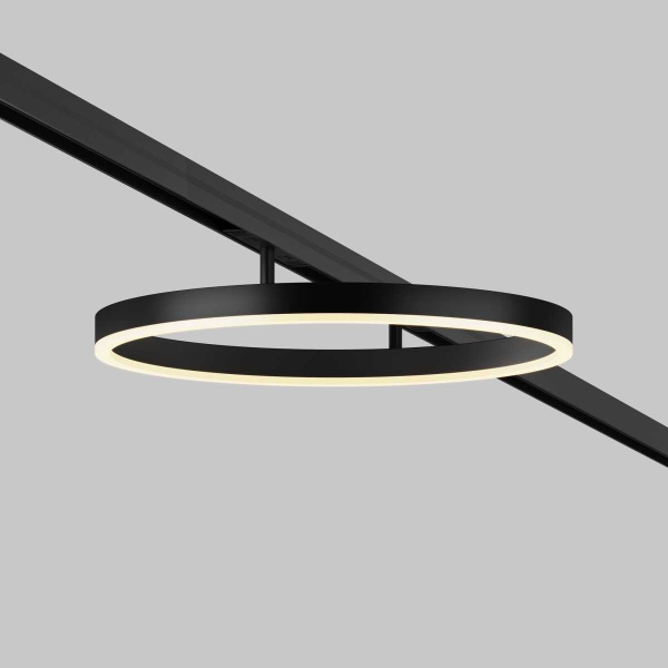 Трековый светильник Maytoni Technical TR227-2-24W3K-B