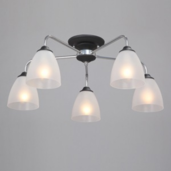 Потолочная люстра Vitaluce V3946-1/5PL